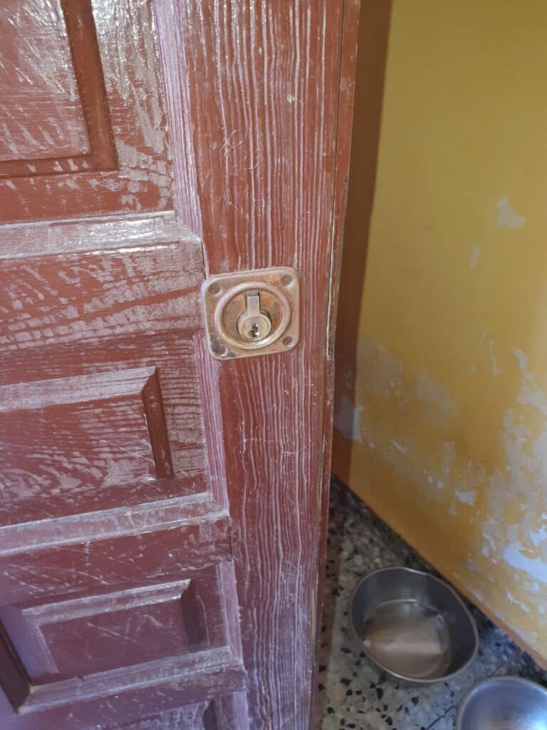 Apertura de puertas Butarque